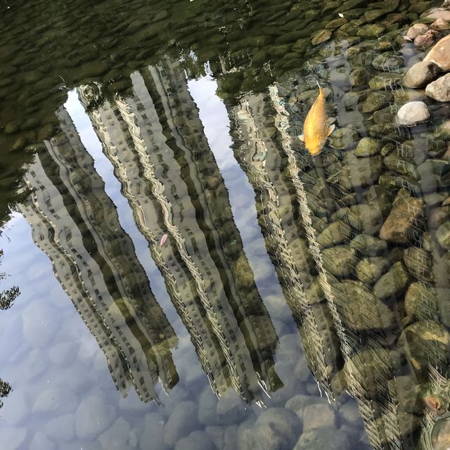 鳥魚花香的休閑公園