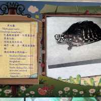免費增進爬蟲類動物小知識