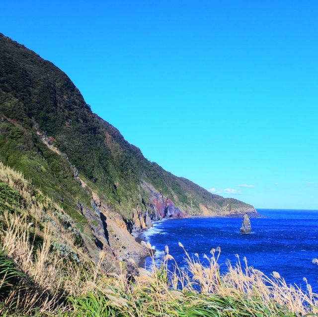 伊豆大島最高過ぎた🙋‍♂️
