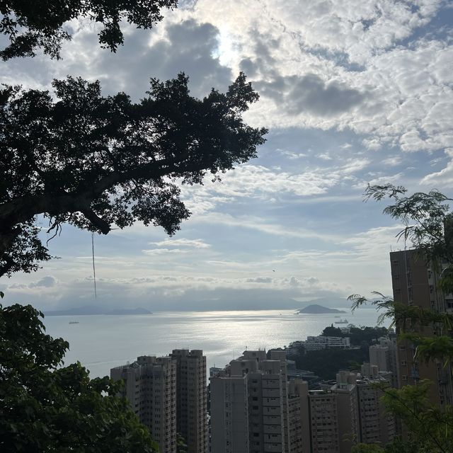 薄鳧林牧場