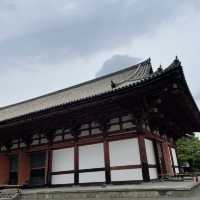 京都の五重塔といったらココ東寺