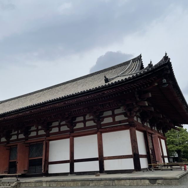 京都の五重塔といったらココ東寺
