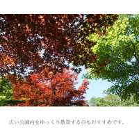 【北海道】名水百選の湧き水を汲める公園