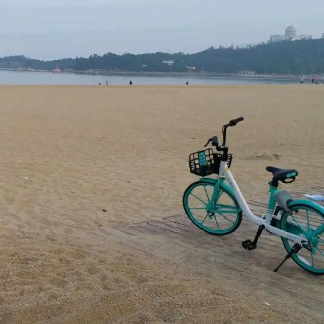 迷人的沙灘景色🏖