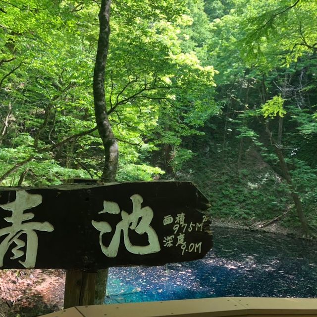 【青森県】世界遺産・白神山地の神秘の池で森林浴！
