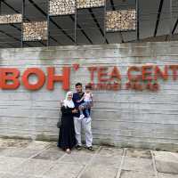 Amazing Visit at BOH Factory Sungai Palas