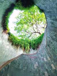 Instagramable Spot @FortCanning TreeTunnel