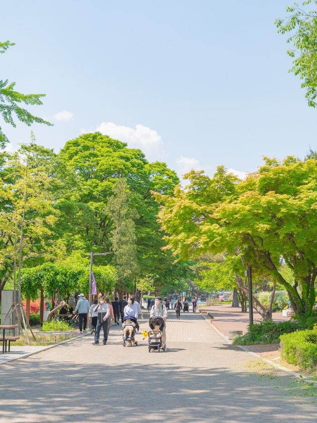 아이와 함께 산책하기 좋은 어린이대공원🤍