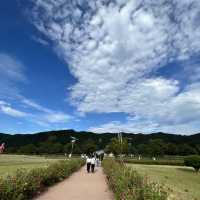 경북 상주 경천섬 구경