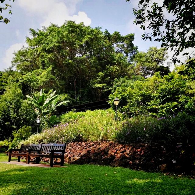 The Raffles Garden At Fort Canning Park