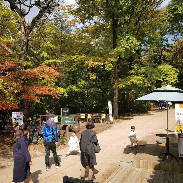 해인사