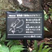 名古屋超大東山植物動物園😝大人🧑細路👦🏻都鍾意❤️半日放電景點