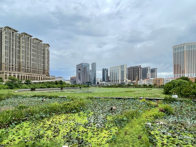 Taipa Houses (龍環葡韻）