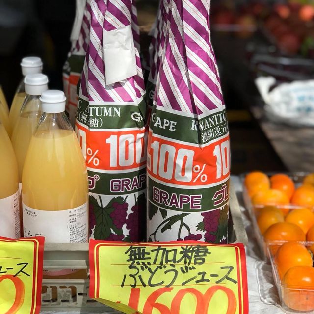 日本🇯🇵家庭好去處❤️清里高原牧場😌清泉寮