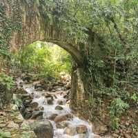 Penang Botanic Gardens