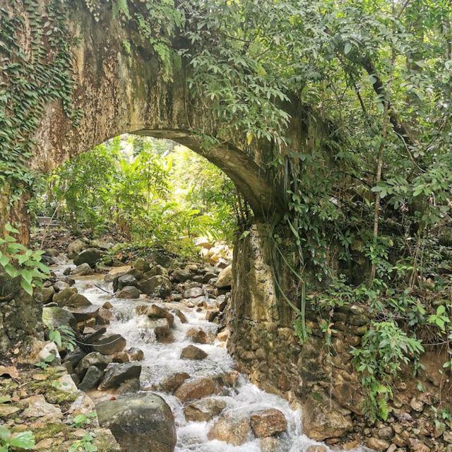 Penang Botanic Gardens