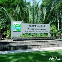 มาศึกษาธรรมชาติกันเถอะ ณ อ่าวคุ้งกระเบน