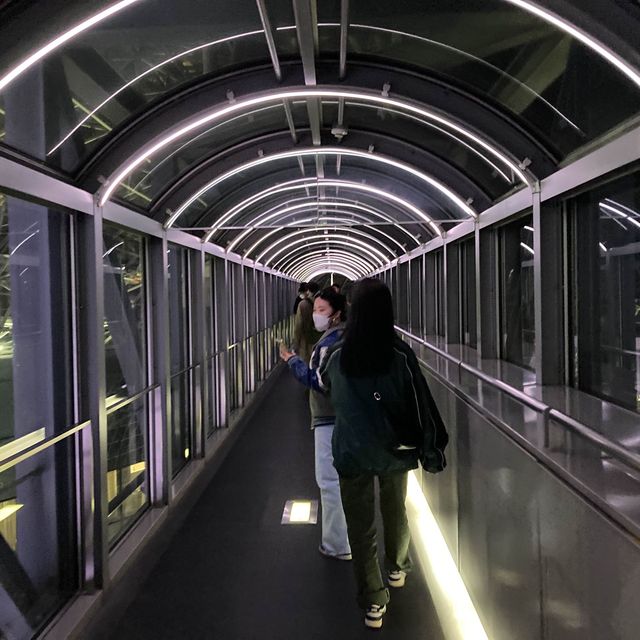 京都駅　空中経路