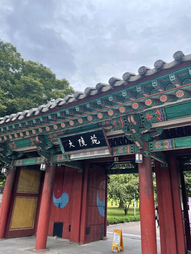 경주 혼자 당일치기 여행 