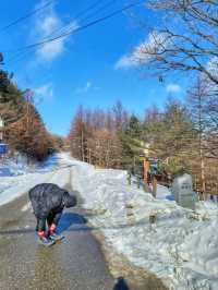 차타고 해발1330m 만항재를 즐기는 눈꽃여행❄️🤍