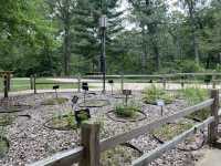 Indiana Dunes State Park 