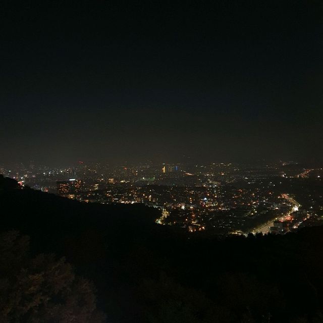 시티투어버스 타고 즐기는 서울타워의 야경⭐️