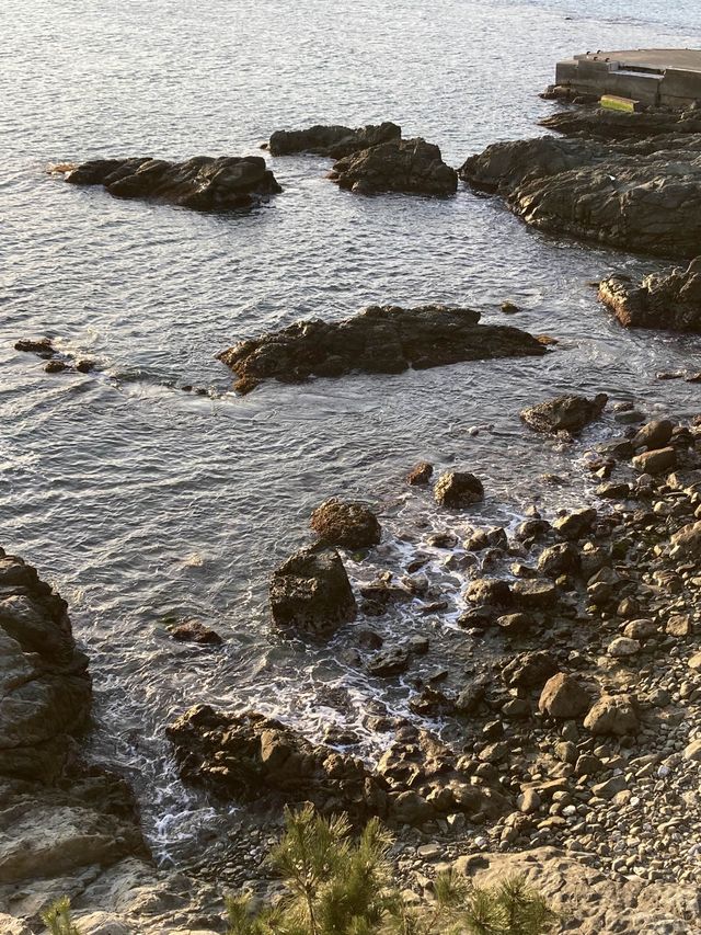 부산여행 꼭 가봐야할 곳