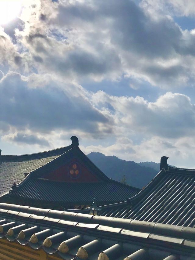소원이 이루어지는 합천 해인사 🙏🏻