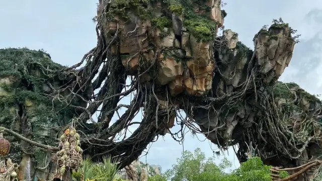 Exciting Avatar adventure in Disney’s park