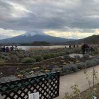 Ohaiyo Mt Fuji, Japan