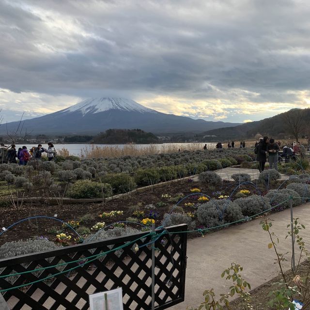 Ohaiyo Mt Fuji, Japan