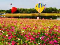 🌺🌸BALLOONS OVER COSMOS MEADOWS 🌺🌸