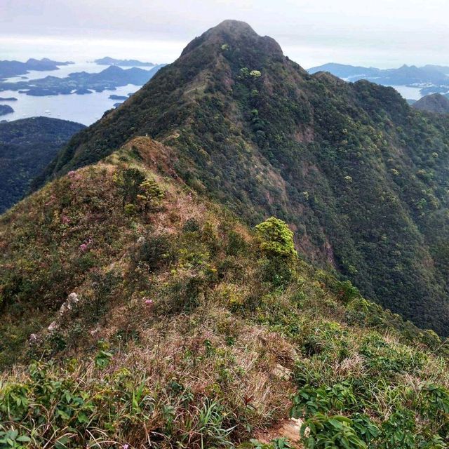 Hong Kong hiking dream