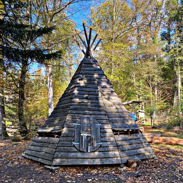 School in the Forest