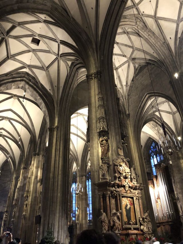 When in Vienna… 