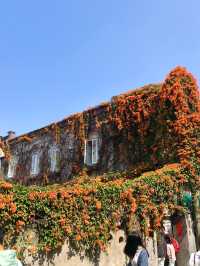 Gulangyu - the Sea Garden Paradise 