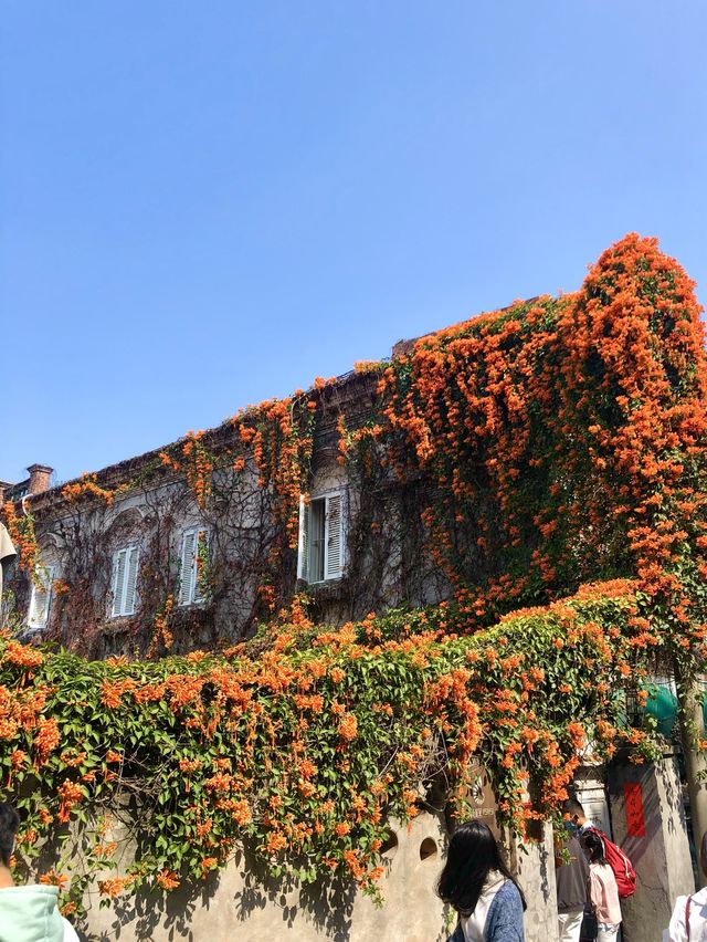 Gulangyu - the Sea Garden Paradise 