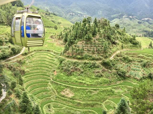 Longshen Rice Terraces@Guilin