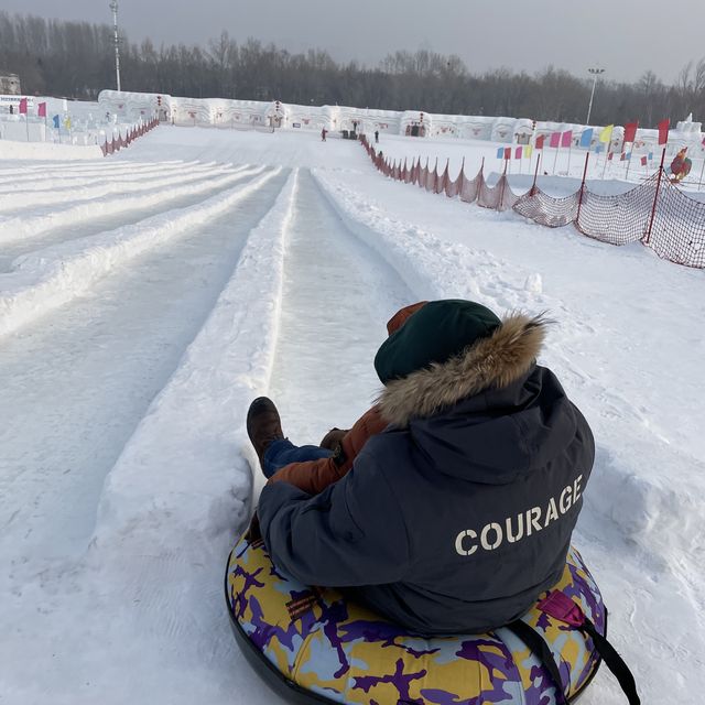 ❄️ Frozen in HARBIN! ❄️