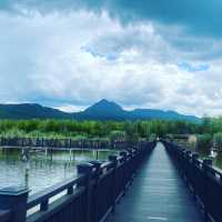 Horse Riding, Tea experience and Wetlands 