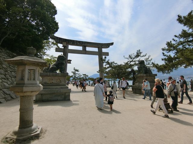 宮島～鳥居をみながらゆっくり散策～