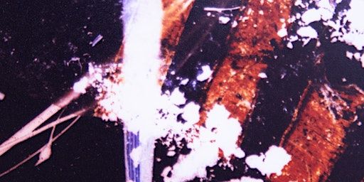Plastic Era – Sun Print Workshop (Cyanotypes) | 8/9 South Street