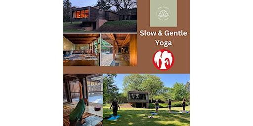 Slow and Gentle Yoga at The Schweikher House | Schweikher House Preservation Trust