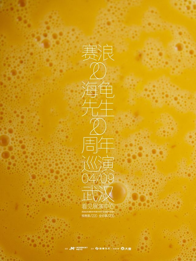 2025海龜先生《賽浪20》巡演 武漢站｜演唱會 | 看見展演