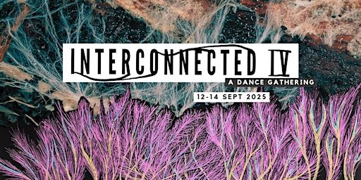 Interconnected IV: A Dance Gathering | Jacksons Lane Arts Centre