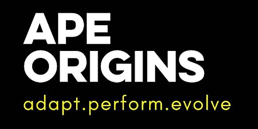 APE Origins 2025 | Hove Lawns