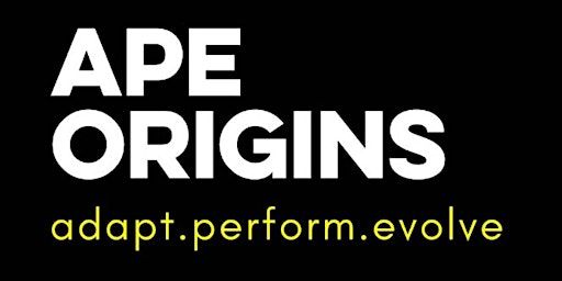 APE Origins 2025 | Hove Lawns