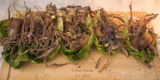 Forage and Feast Forage walk with Wild Lunch, Brighton Foraging. Vegan | Urban Forage