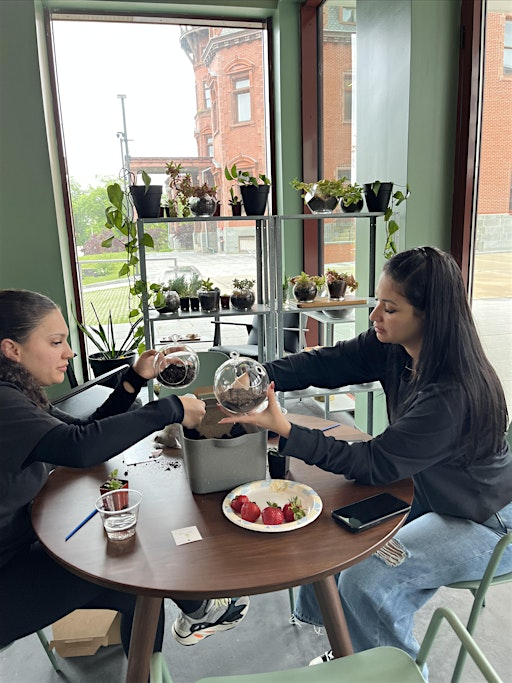Sunday Sips & Succulents - Terrarium Workshop | Fern & Fossil Café