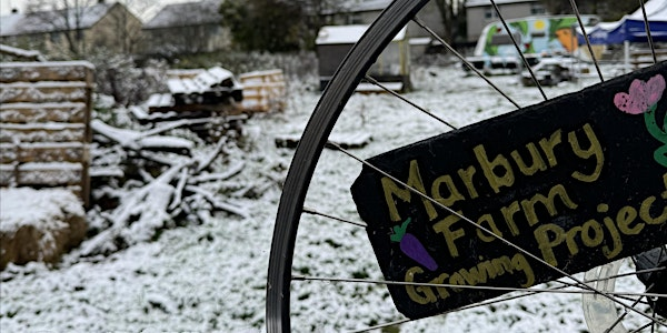 Winter wassail at Marbury Road Edible Garden | Marbury Road Edible Garden